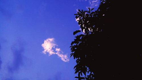 Low angle view of silhouette trees against blue sky