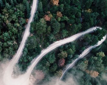 High angle view of road amidst trees in forest