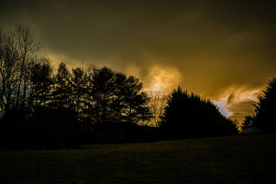 Silhouette trees on field against sky at sunset