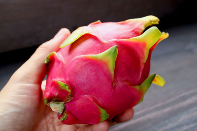 Midsection of woman holding red rose