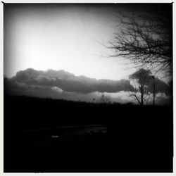 Bare trees on landscape against sky