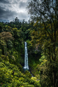 Scenic view of waterfall in forest against sky