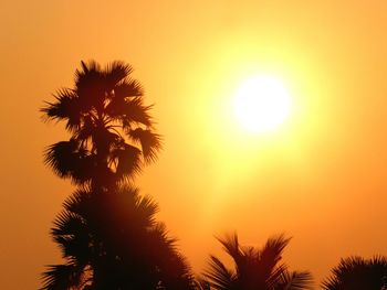 Low angle view of silhouette palm trees against sky during sunset