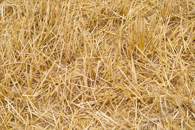 Full frame shot of hay bales