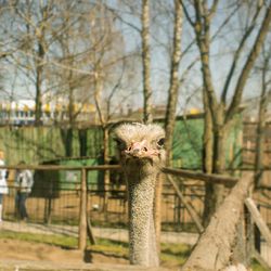 Bird perching on tree trunk