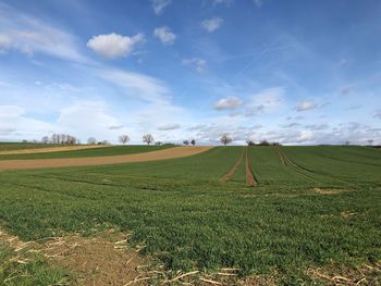 Scenic view of field against sky