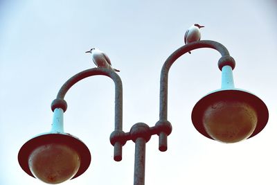 Low angle view of seagull perching on street light against sky