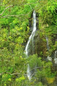 Scenic view of waterfall