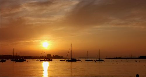 Sailboats in sea at sunset