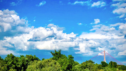 Low angle view of trees against sky