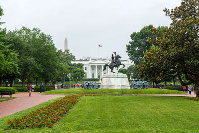 View of trees in front of building