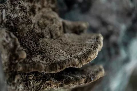 rock - object, rock formation, nature, rock, close-up, sand, textured, selective focus, rough, focus on foreground, day, geology, natural pattern, outdoors, no people, sunlight, beauty in nature, arid climate, stone, tranquility