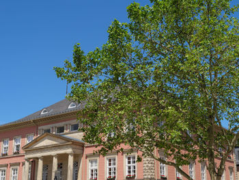 Low angle view of trees and building against sky