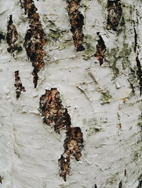 Full frame shot of weathered wall