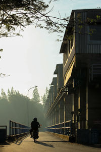 Rear view of man riding bicycle on street in city