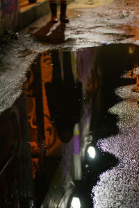 Reflection of trees in water