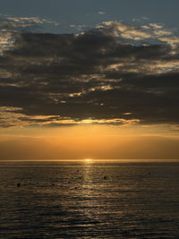 sunlight