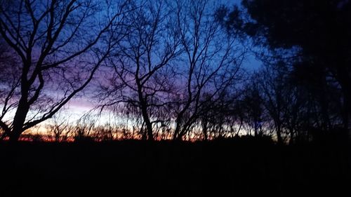 Silhouette bare trees against sky at sunset