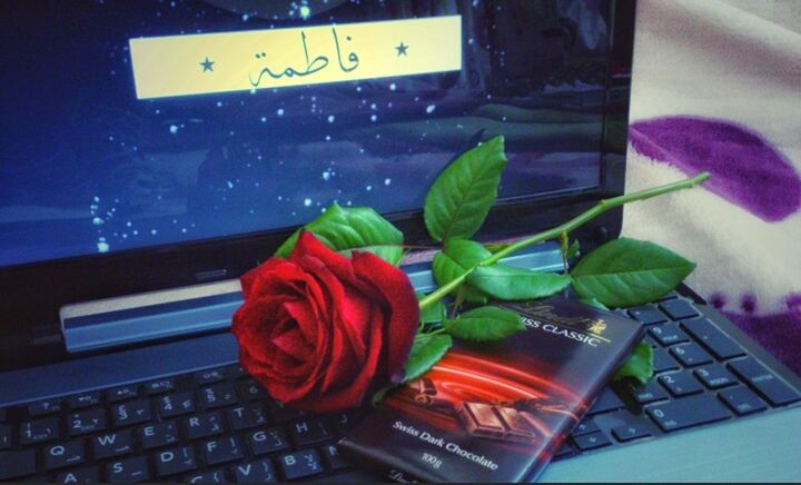 indoors, close-up, table, communication, still life, red, flower, focus on foreground, home interior, no people, text, technology, high angle view, paper, book, green color, selective focus, glass - material, connection, western script