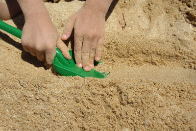 Low section of men on beach