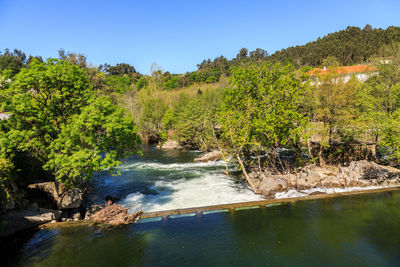 Scenic view of river in forest against clear blue sky