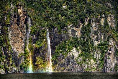 View of waterfall in forest