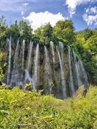 Scenic view of waterfall against trees in forest