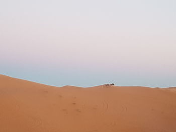 Scenic view of desert against clear sky