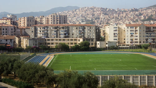Trees in city against sky