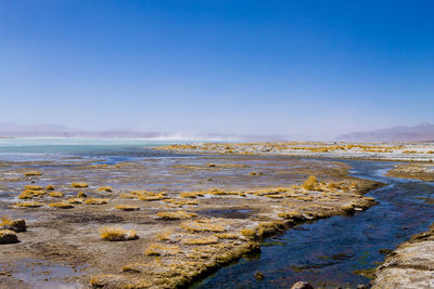 Scenic view of landscape against clear blue sky