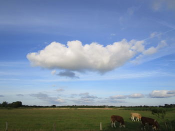 Scenic view of farm against sky