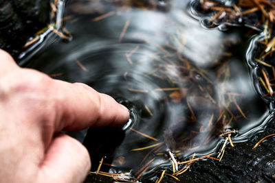 Cropped person finger touching water on land