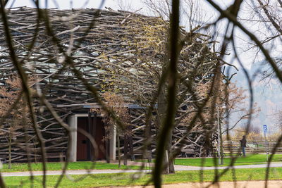 Bare trees on field against house