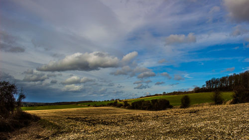 Scenic view of field against sky