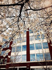 Low angle view of buildings against sky