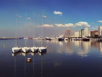 Sailboats moored in harbor