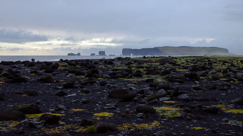 View from the black sand coast near vik i myrdal, iceland.