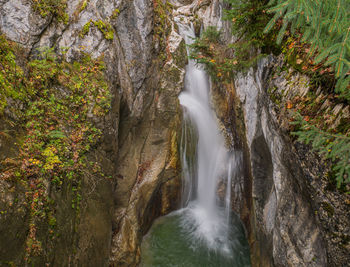Scenic view of waterfall in forest
