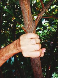 Human hand holding tree trunk