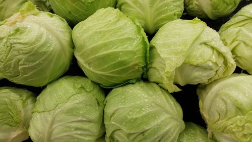 Full frame shot of wet cabbages at market