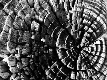 Full frame shot of spiral staircase