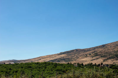 Scenic view of landscape against clear blue sky