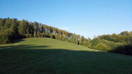 View of golf course against clear sky