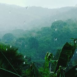 Scenic view of mountains against cloudy sky