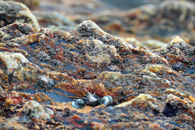 Full frame shot of rocks