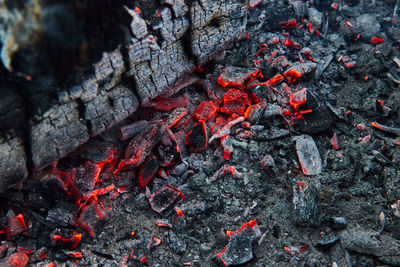 Close-up of rocks