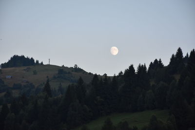 Scenic view of landscape against clear sky at night