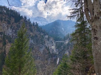 Scenic view of tree mountains against sky