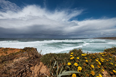 Scenic view of sea against sky