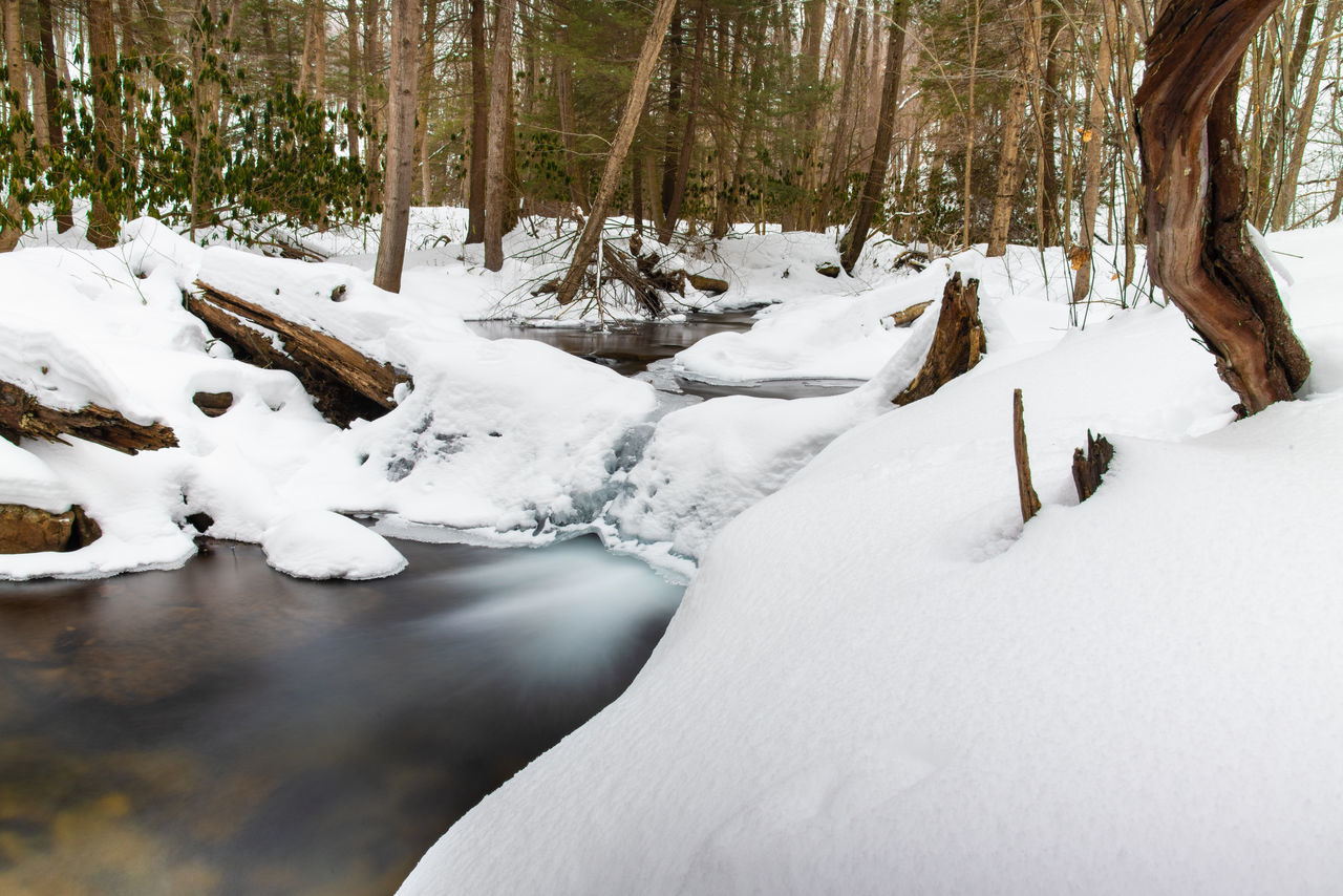 SCENIC VIEW OF SNOW COVERED LAND